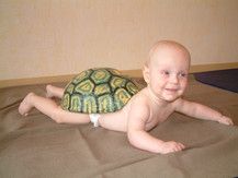 Mal sehen, ob ich mal schneller bin als eine Schildkröte