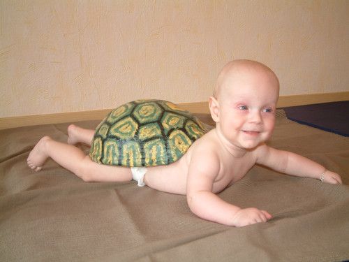 Mal sehen, ob ich mal schneller bin als eine Schildkröte