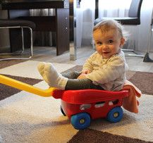 Jan lässt sich kutschieren :-)