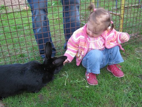 Mensch, den Osterhasen gibt's ja wirklich... :-)