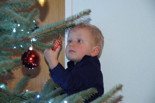 Diego total begeistert