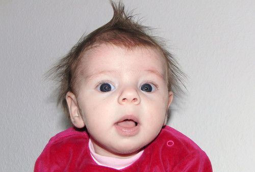 Meine kleine Struwelliese 