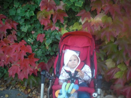 Süße Zwergin vorm Blätterwald