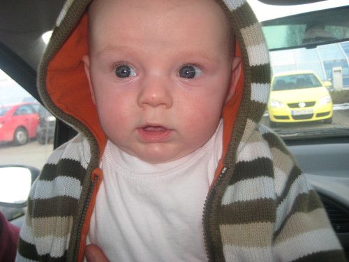 Max vorm großen Einkaufsbummel