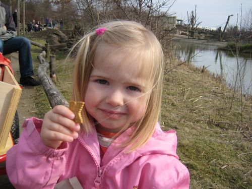 Schön ist es Draußen