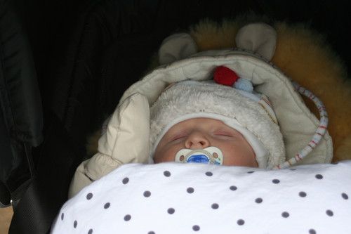 hier ist es schön kuschelig warm :) 