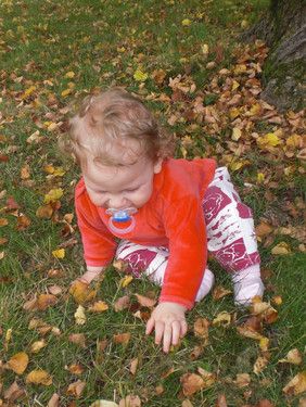 Mit gefallenen Blättern spielen
