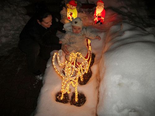 Rentierschlitten-Test