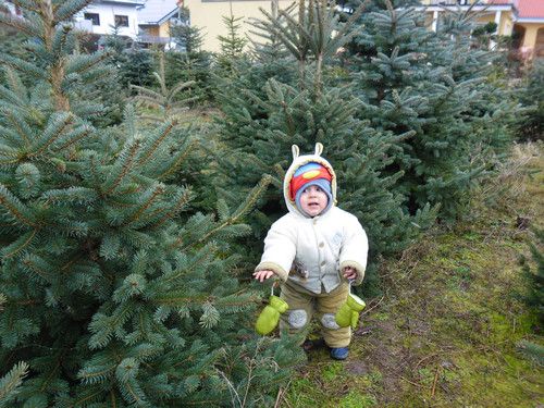 Weihnachtsbaum Teil 2