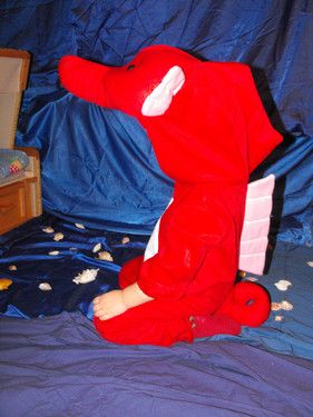 So siehts von der Seite aus das Seepferdchen