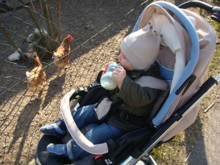 ...mmh wer bringt nun die Eier?