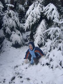 Winterwaldspaziergang