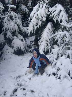 Winterwaldspaziergang