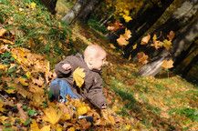 Wenn die Blätter fallen