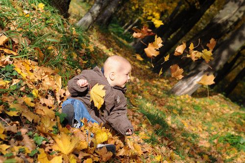 Wenn die Blätter fallen