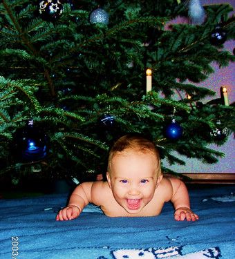 Endlich steht der Baum