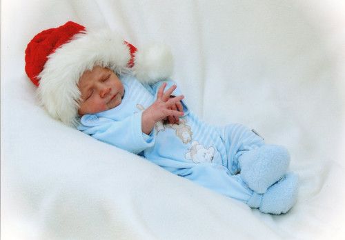 und nochmal mein kleiner Lennox