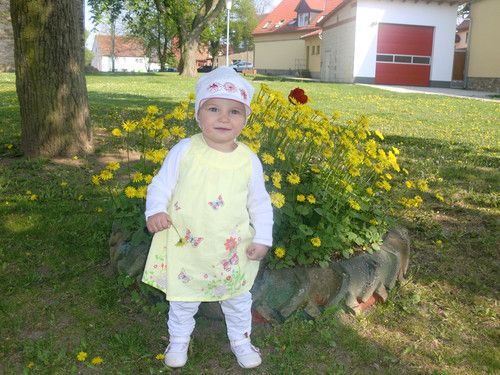 Wo ist der Osterhase???