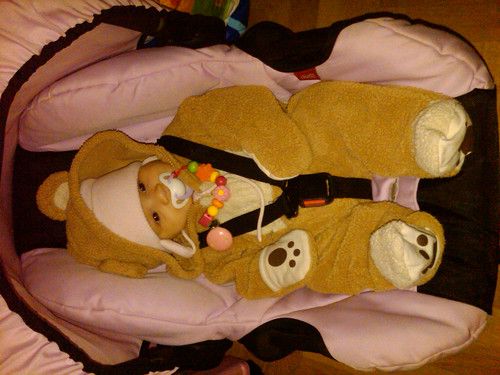 kleiner süßer Teddy