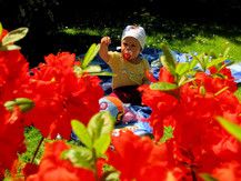 Farbenfroh ist dieser Sommer - und das gefällt mir!