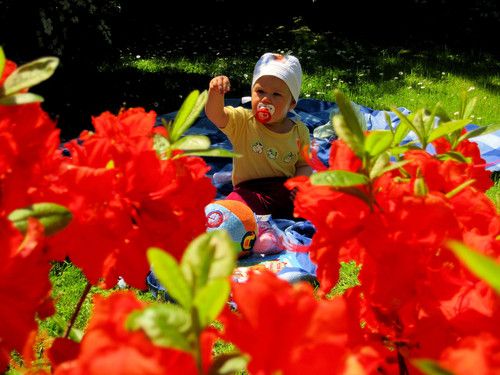 Farbenfroh ist dieser Sommer - und das gefällt mir!