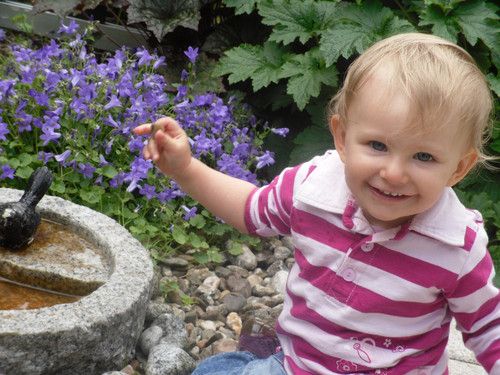 Sunny genießt den Frühling