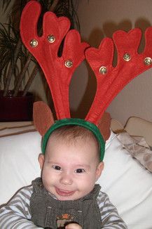 Joel Elia, unser kleines Rentier