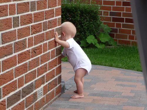 Lara`s erste Gehversuche!!!