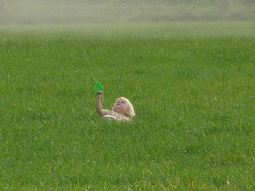 Flieg....Drache ....flieg!!!!!!