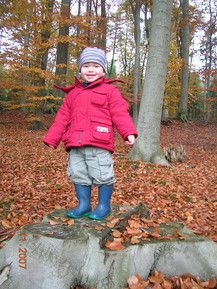 Gleich kommt der Sprung ins Laubbett!!!!!