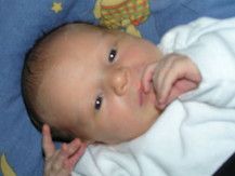 David - mein Schnuffi 