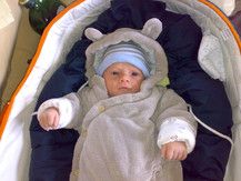 Max unser kleiner Kuschelbär