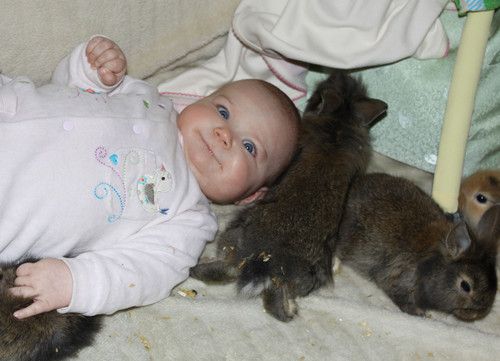 Eine Horde kleiner Kuschelwuschels!!!