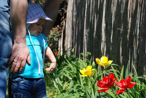 Auf der Suche nach Ostereier