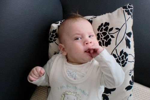 Maj ist die Hand süß