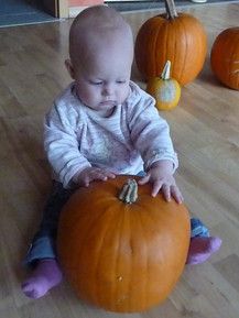 Schaut mal....mein Kürbis!!