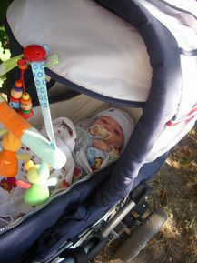 In meinen KInderwagen 