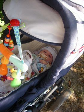 In meinen KInderwagen 