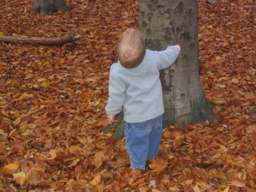 Hallo Baum - siehst Du mich?