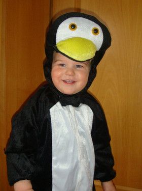 Unser kleiner Pinguin