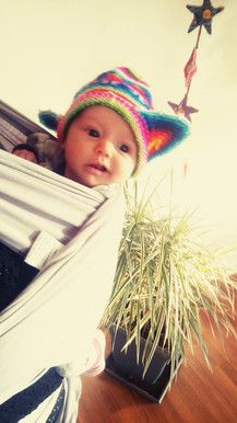 Unser erster Versuch ;) Fiamma genießt die Aussicht. Alles im Blick.