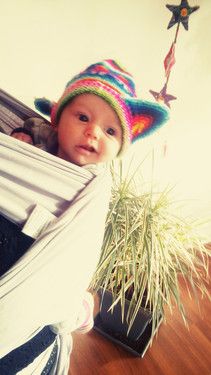 Unser erster Versuch ;) Fiamma genießt die Aussicht. Alles im Blick.