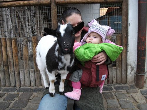 Da spielt selbst die kleine Ziege mit :-))