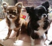 Profilfoto  Janineeee