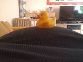 Profilfoto  Blueice09