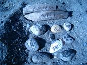 Profilfoto  Trizi2010