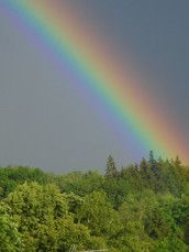 Profilfoto  23-summers