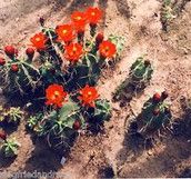 Profilfoto  vaterglueck