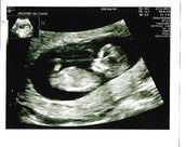 Profilfoto  nordlicht03