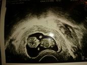 Profilfoto  sissi8819